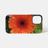 Zinnia iPhone Hoesje (Achterkant horizontaal)