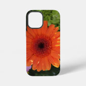 Zinnia iPhone Hoesje (Achterkant)