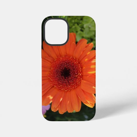 Zinnia iPhone Hoesje (Achterkant)