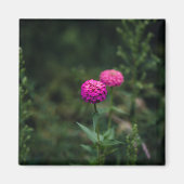 Zinnia — magneet (Voorkant)