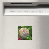 Zinnia magnet (Insitu (Vaatwasser))