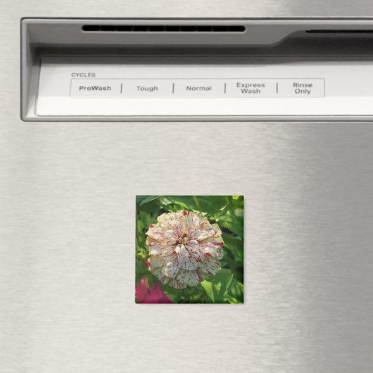 Zinnia magnet (Insitu (Vaatwasser))