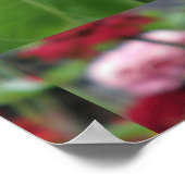  Zinnia met bijen Poster (Hoek)