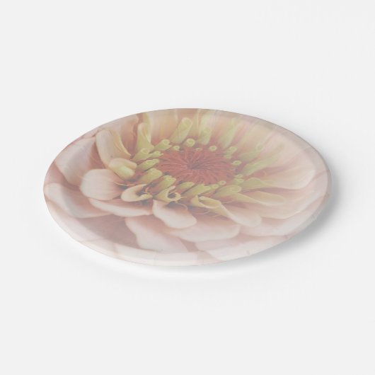 Zinnia Papier Borden Bleek Peach Papieren Bordje (Gekanteld)