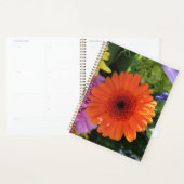 Zinnia Planner (Display)