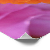 Zinnia Poster (Hoek)