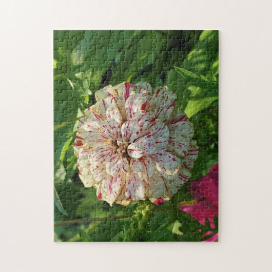 Zinnia Puzzle Legpuzzel (Verticaal)