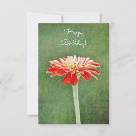 Zinnia Red Flower Artsy Flat Birthday Card Kaart (Voorkant)