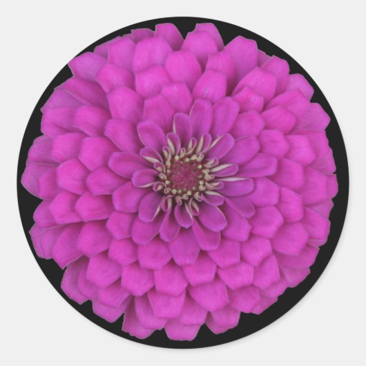 Zinnia Ronde Sticker (Voorkant)