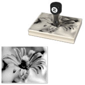 Zinnia Rubberstempel (Gestempeld)