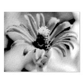 Zinnia Rubberstempel (Afrduk)