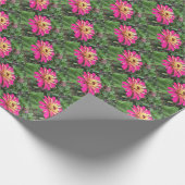 ZINNIA - Vibrant Pink and Cream - ECHO Print. Cadeaupapier (Hoek)