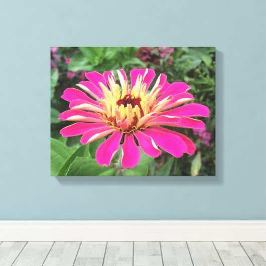 ZINNIA - Vibrant roze en crème - Canvas Afdruk (Insitu (Houten vloer))