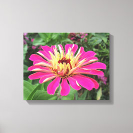 ZINNIA - Vibrant roze en crème - Canvas Afdruk