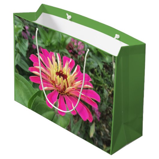 ZINNIA - Vibrant roze en crème - Groot Cadeauzakje (Achterkant Gekanteld)