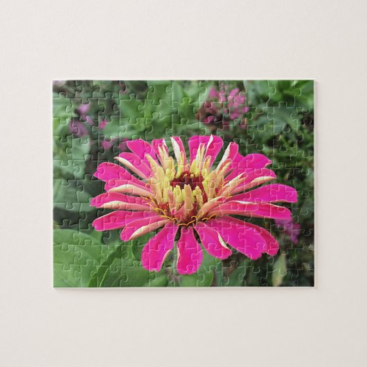 ZINNIA - Vibrant roze en crème - Legpuzzel (Horizontaal)