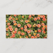 Zinnia-Visitekaartje Visitekaartje (Achterkant)