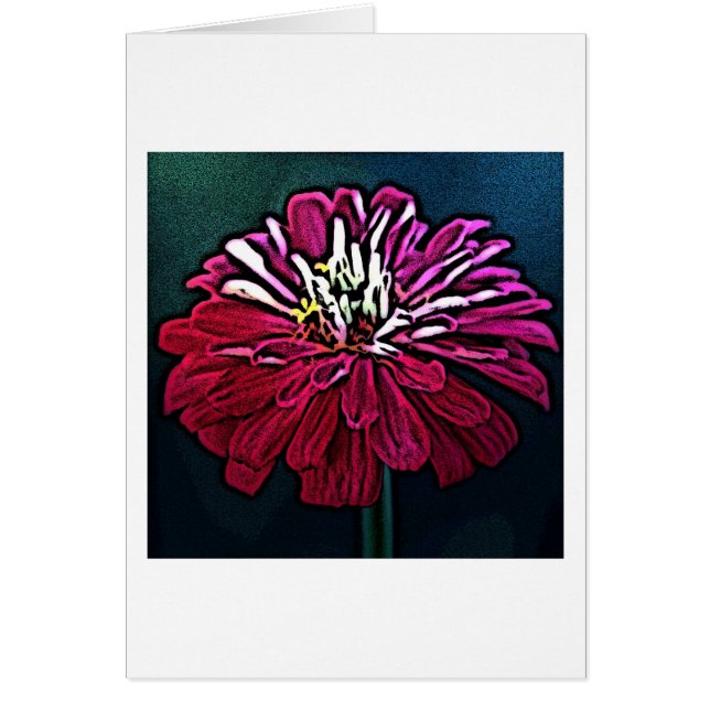 Zinnia Woodcut (Voorkant)