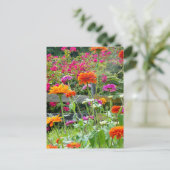 "Zinnias 1." Briefkaart (Staand voorkant)