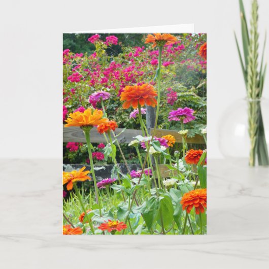 "Zinnias 1." Wenskaart Kaart (Voorkant)