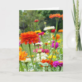 "Zinnias 2." Wenskaart Kaart