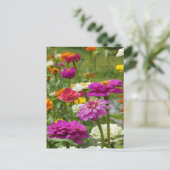 "Zinnias 3." Briefkaart (Staand voorkant)