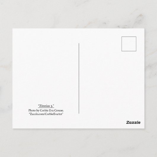 "Zinnias 3." Briefkaart (Achterkant)
