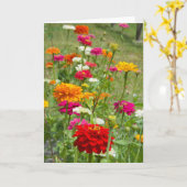 Zinnias 4. Wenskaart Kaart (Gele Bloem)