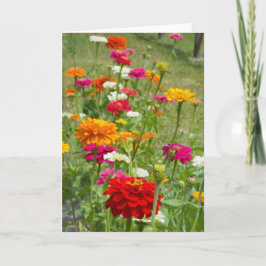 Zinnias 4. Wenskaart Kaart