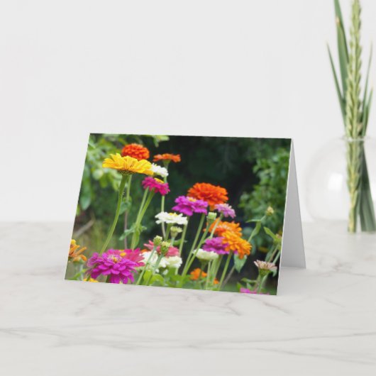 Zinnias 5. Wenskaart Kaart (Voorkant)