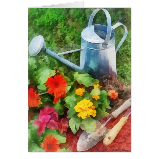 Zinnias and Watering Can (Voorkant)