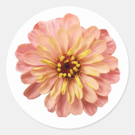 Zinnias Bloem Bloem Natuur Fotografie Ronde Sticker