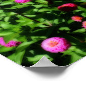 Zinnias Flower Orton-effect Poster (Hoek)