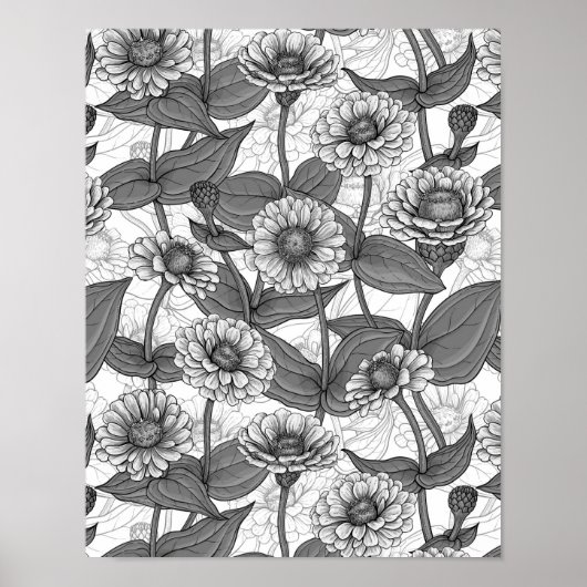 Zinnia's, monochome op wit poster (Voorkant)