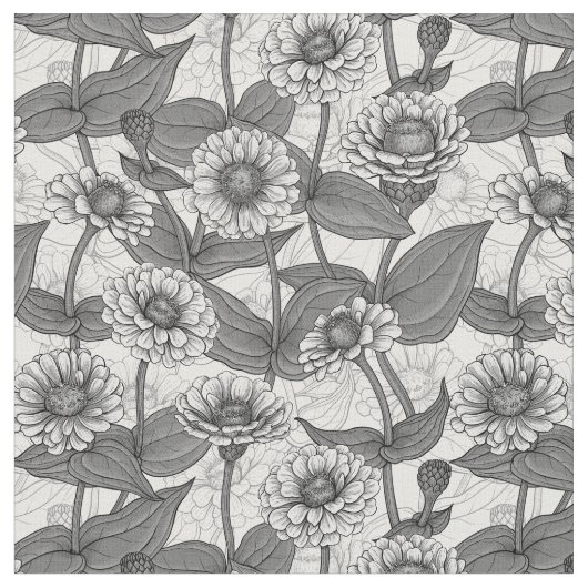 Zinnia's, monochome op wit stof (Close Up)