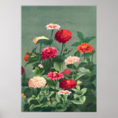 Zinnias Poster (Voorkant)