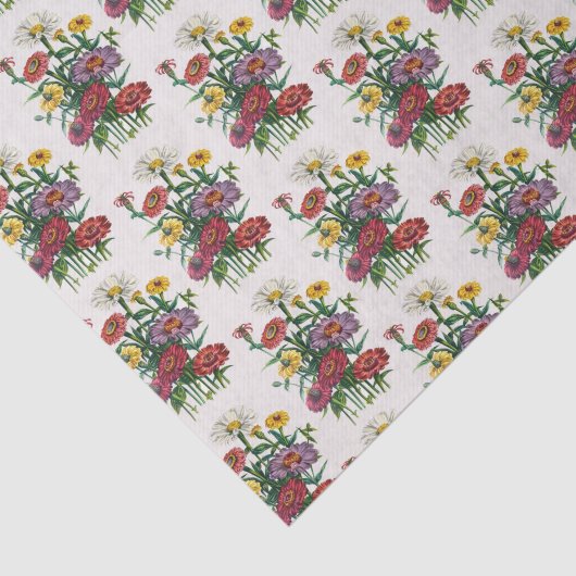 Zinnias Tissuepapier (Detail)