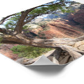 Zion - Angels Landing Poster (Hoek)