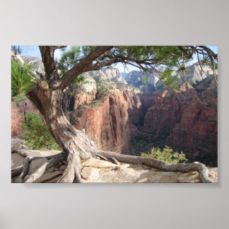 Zion - Angels Landing Poster