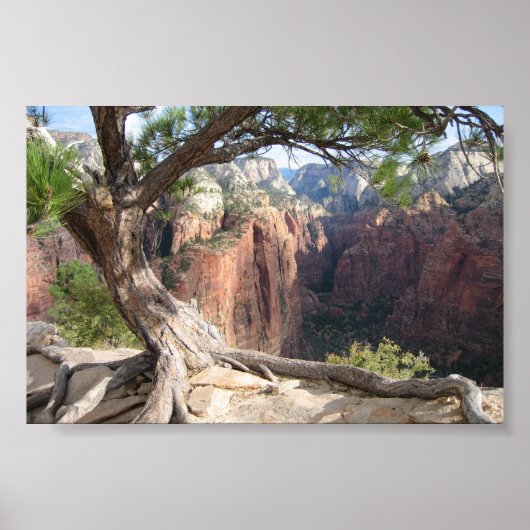 Zion - Angels Landing Poster (Voorkant)