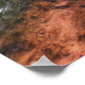 Zion Autumn Splendor Poster (Hoek)