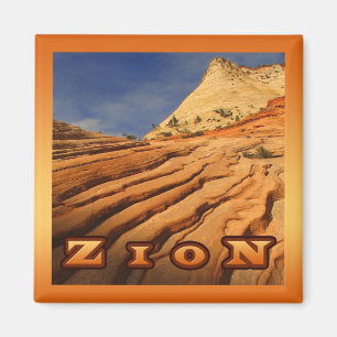 Zion Beauty Magneet