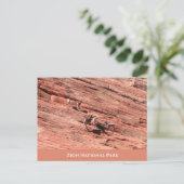 Zion Bighorn Sheep Briefkaart (Staand voorkant)