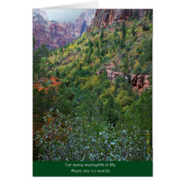 Zion Canyon: Bereiding