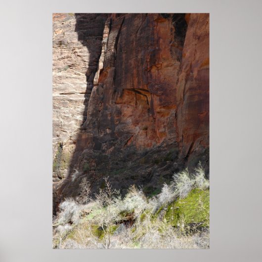 Zion Canyon Poster (Voorkant)