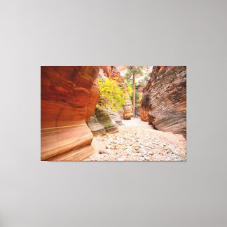 Zion Canyon-spleet Canvas Afdruk