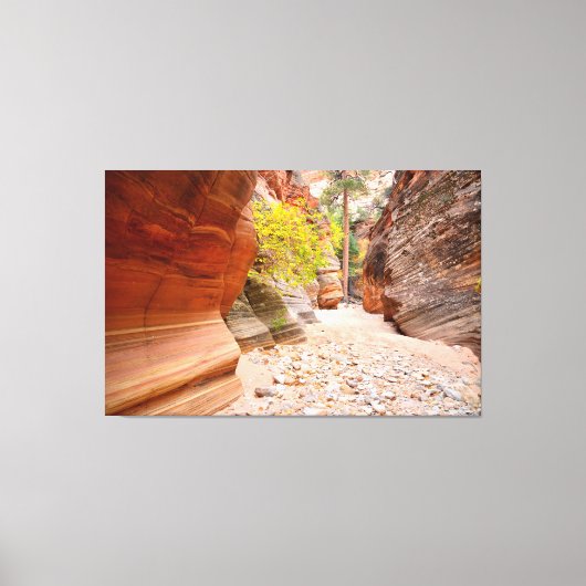 Zion Canyon-spleet Canvas Afdruk (Voorkant)