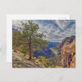 Zion Canyon Uitzicht van Angels Landing Briefkaart (Voorkant / Achterkant)