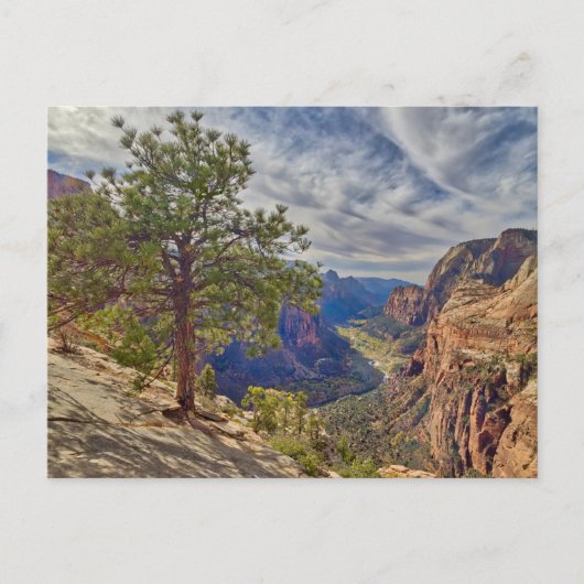 Zion Canyon Uitzicht van Angels Landing Briefkaart (Voorkant)