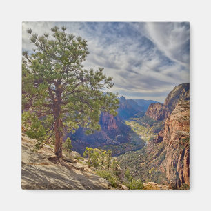 Zion Canyon Uitzicht van Angels Landing Magneet